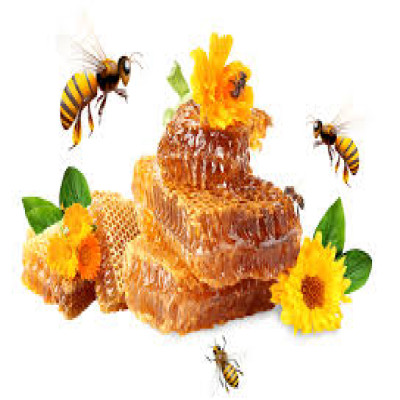 Honey