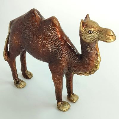 Camel