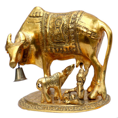 COW & CALF